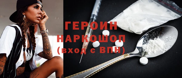 индика Дмитриев