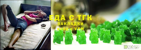 индика Дмитриев