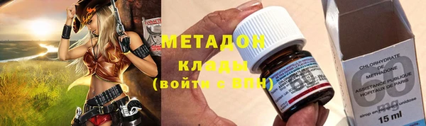 индика Дмитриев