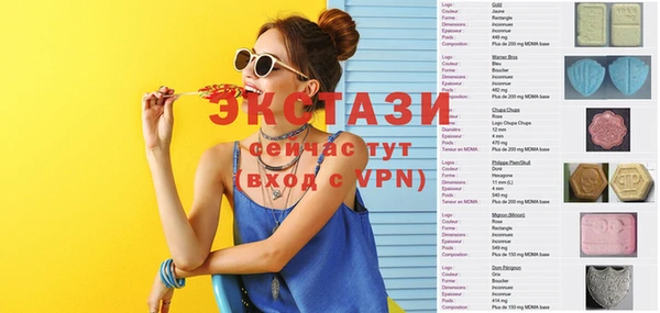 индика Дмитриев