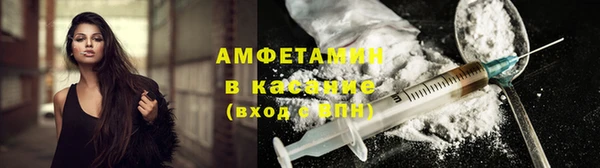индика Дмитриев