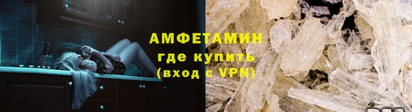 индика Дмитриев