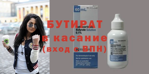 индика Дмитриев