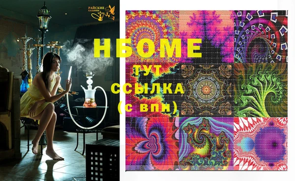 индика Дмитриев