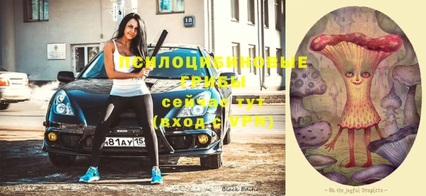 индика Дмитриев