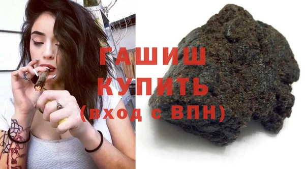 индика Дмитриев