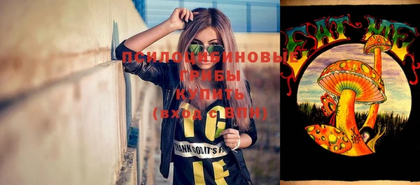 индика Дмитриев