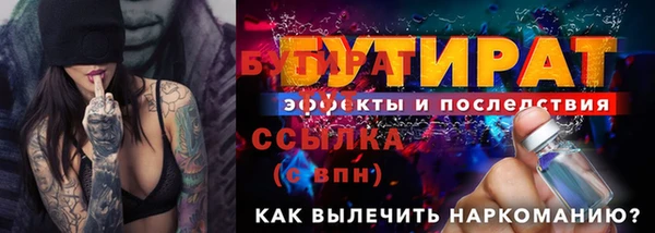 индика Дмитриев