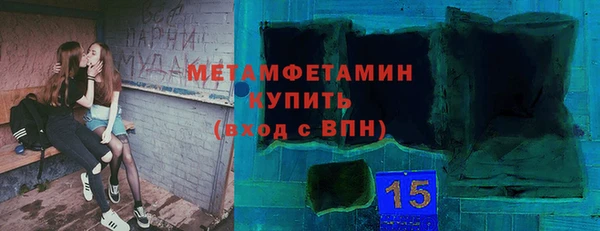 индика Дмитриев