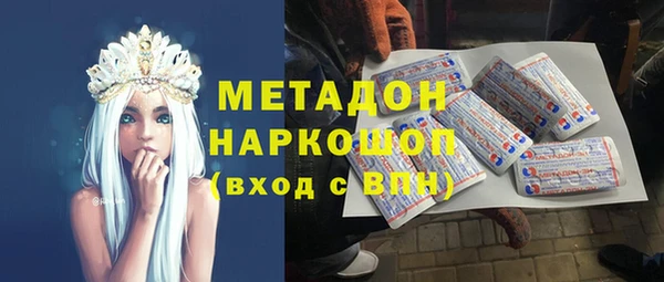 индика Дмитриев