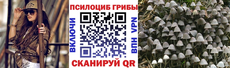 Галлюциногенные грибы прущие грибы  Москва 